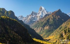 展示型網站制作